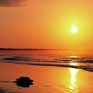 Galápagos